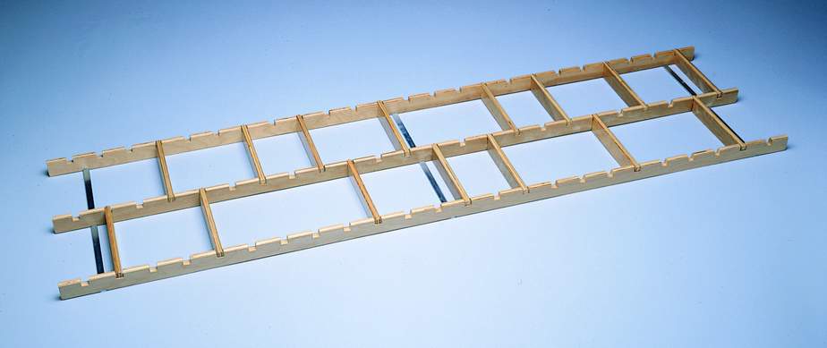 Model 210 - Foot Placement Ladder